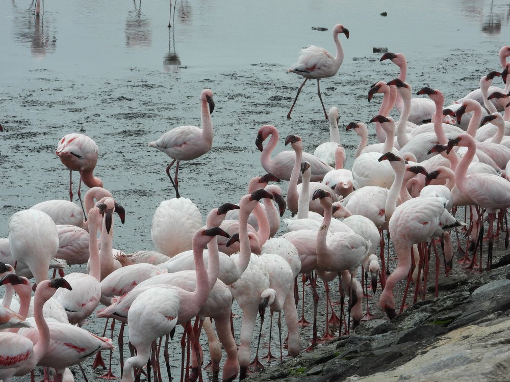 Photograph by Марина Осипова