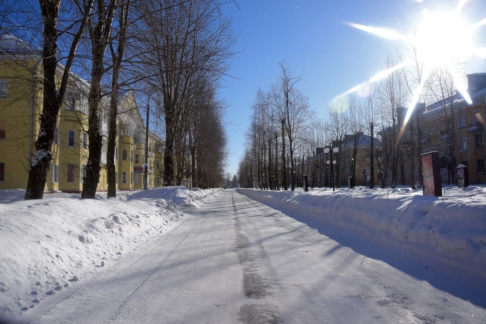 Фотография автора Альбина Хвастунова