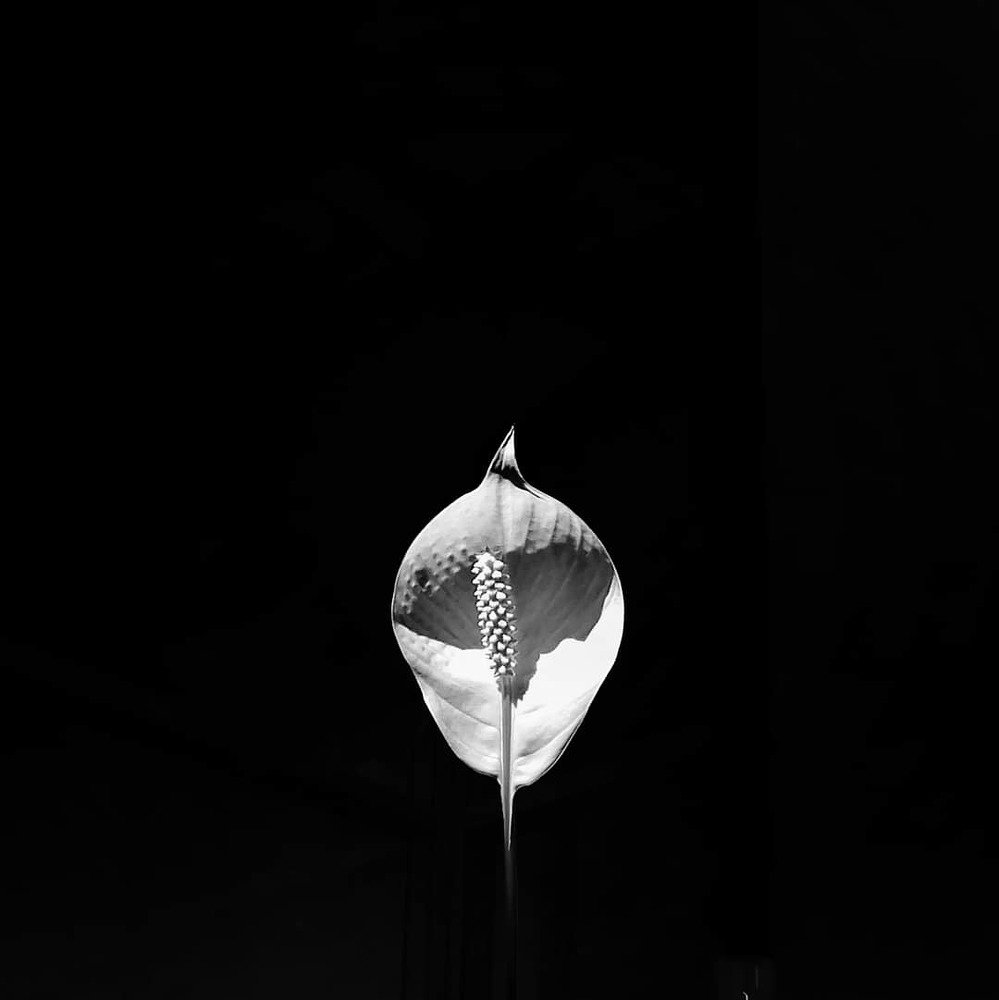Photograph by Оля Виноградова