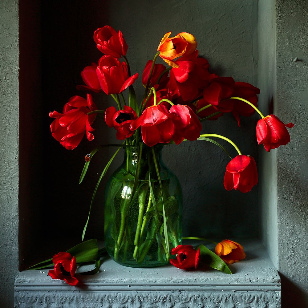 Красные тюльпаны