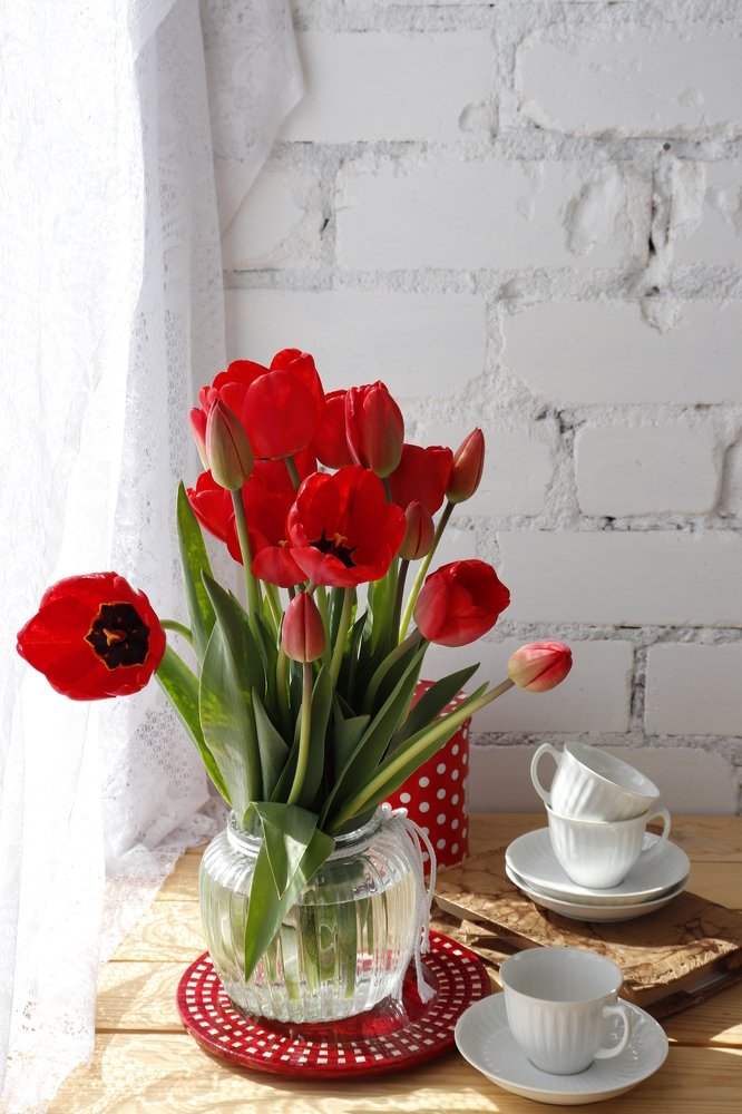 Весна-красна