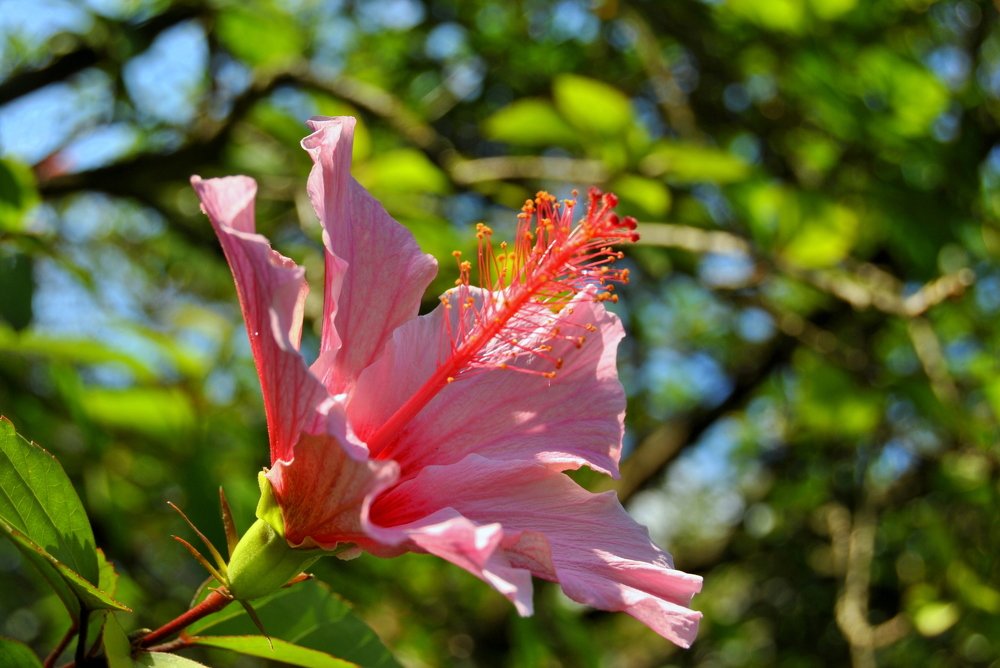 Фотография автора Армен Гарибян