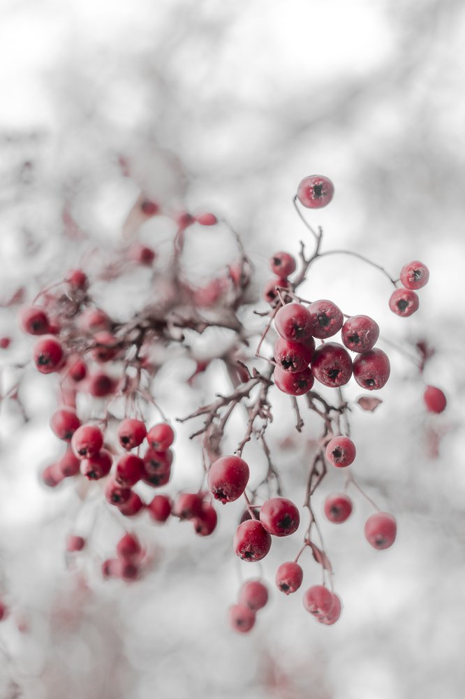 Фотография автора Lujza Stoklas