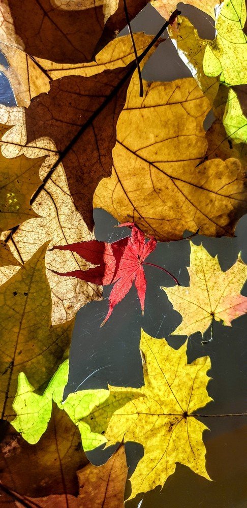 Photograph by Székelyhidi Marina