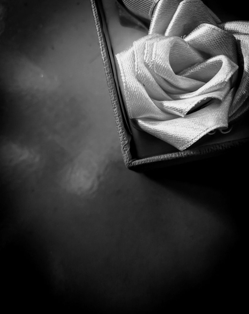 Photo #3863965