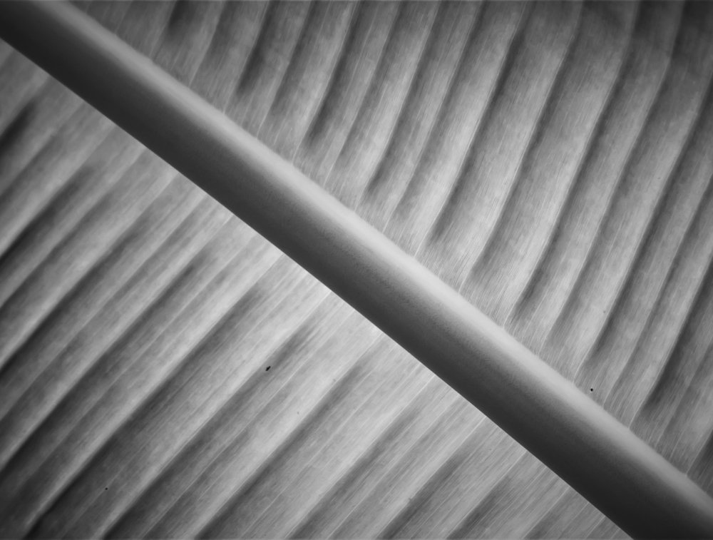 Фотография автора Anil Prabhakar