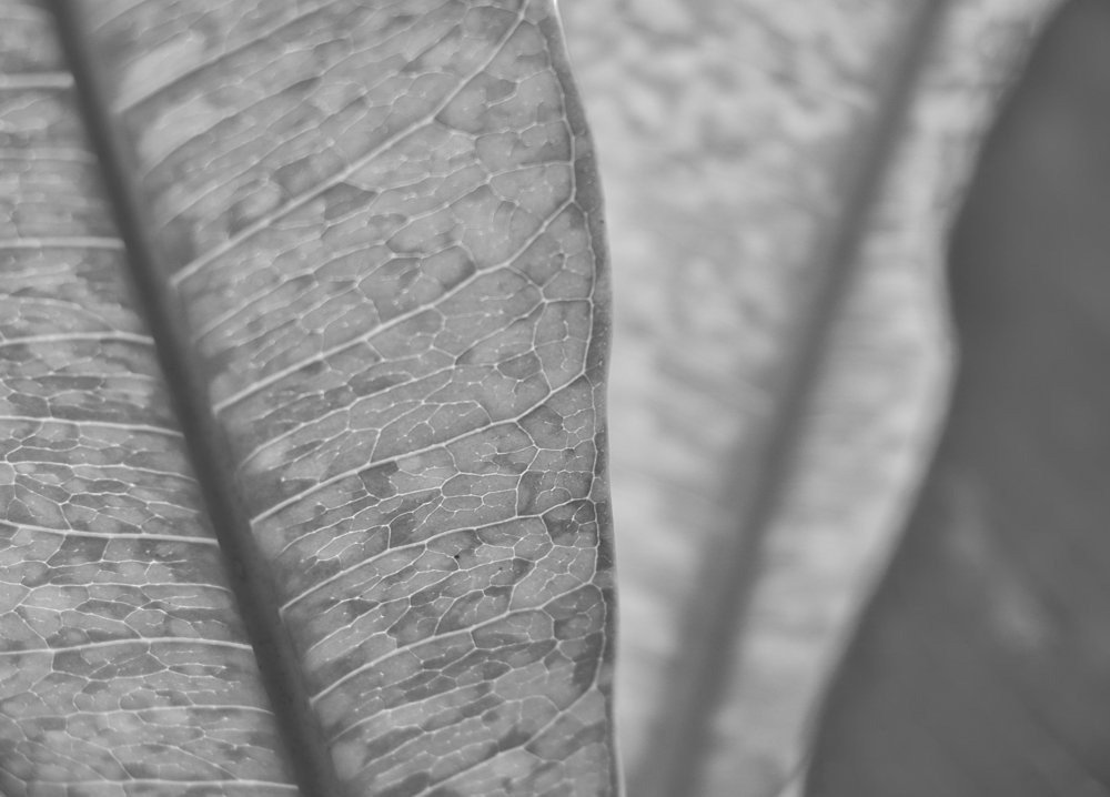 Фотография автора Anil Prabhakar