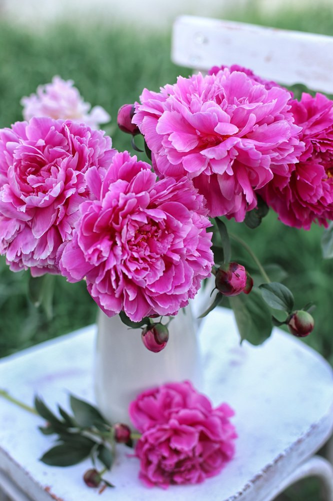 Фотография автора Шутенкова Евгения