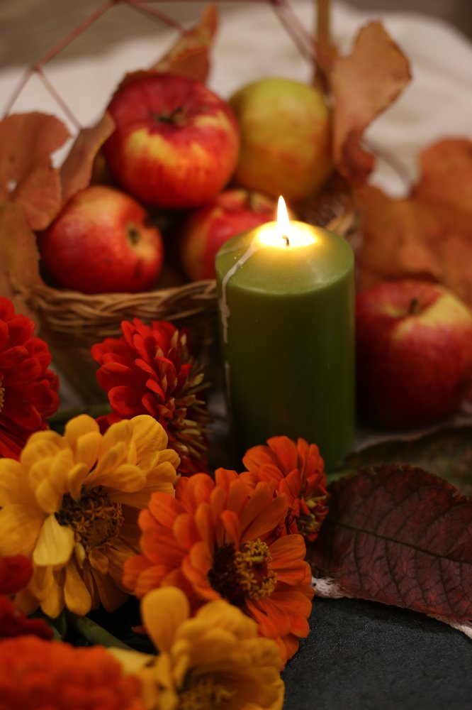 Фотография автора Шутенкова Евгения