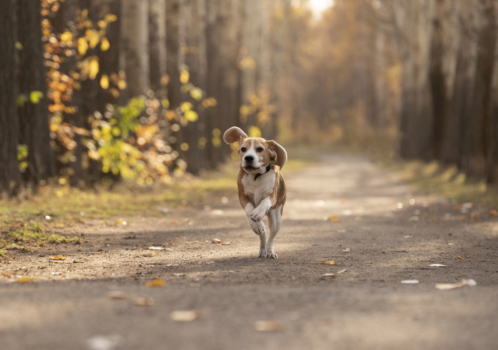 Photograph by ИРЕНА Федорова