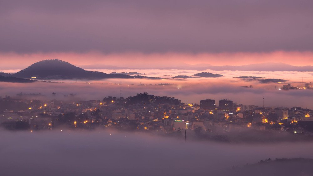 Photograph by Thái Võ