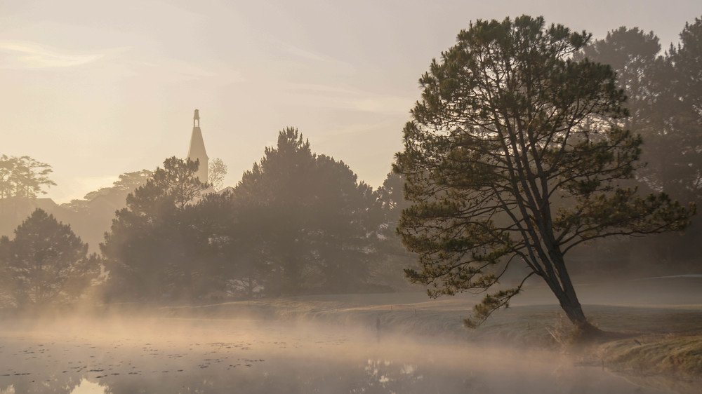 Photograph by Thái Võ