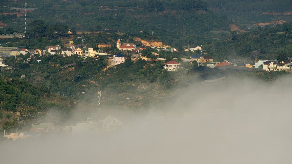 Photograph by Thái Võ