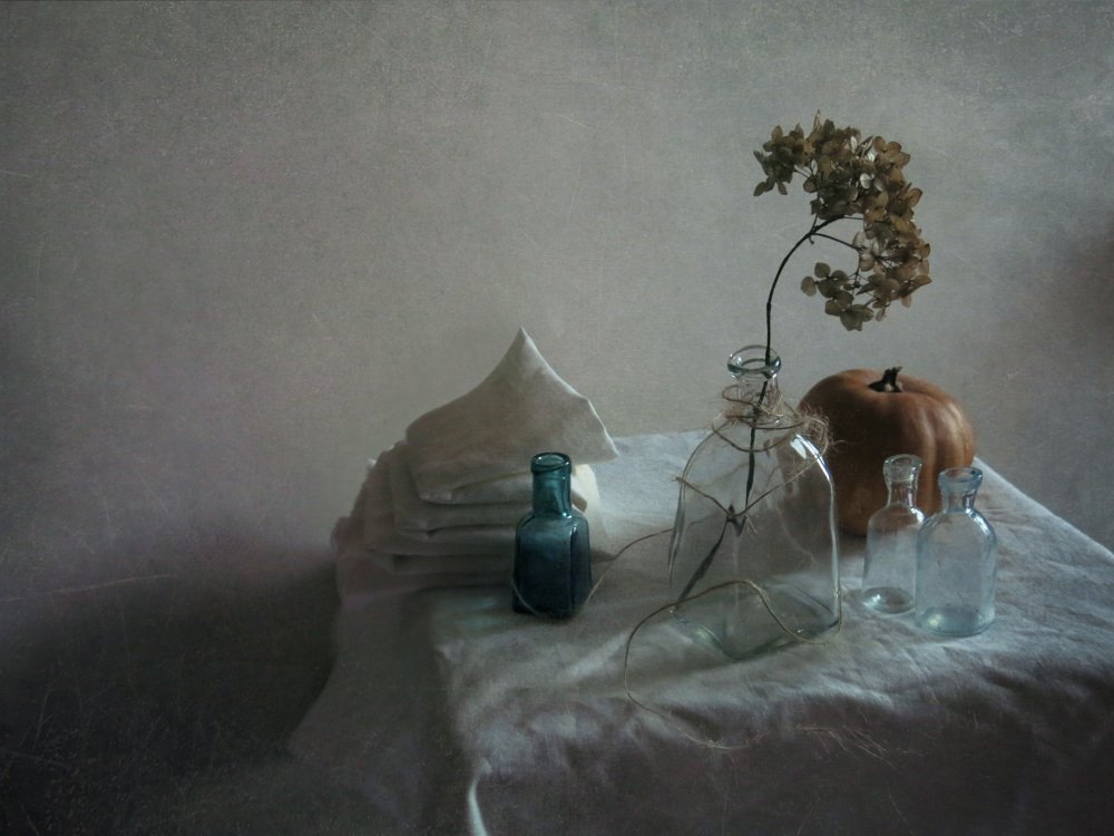 Фотография автора Елена Лысенко