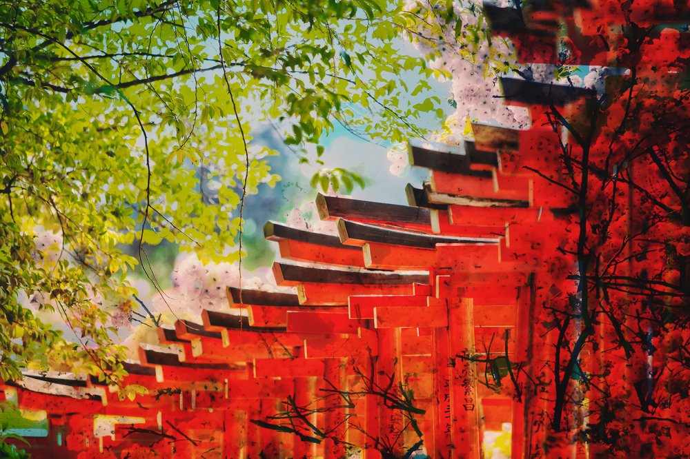 Photograph by redonion1515