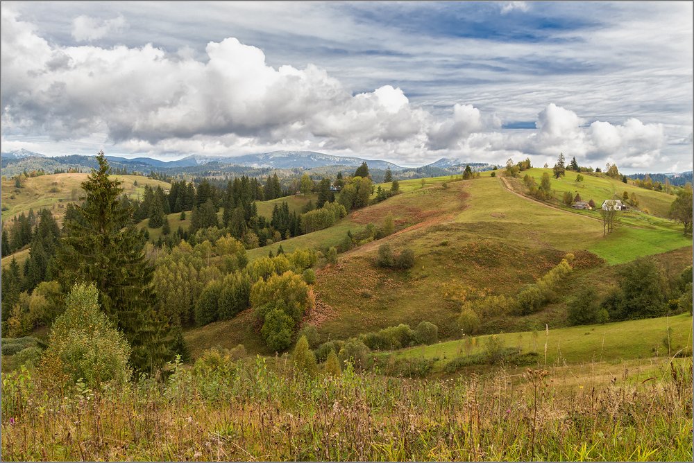 Photograph by Александра Шайдурова