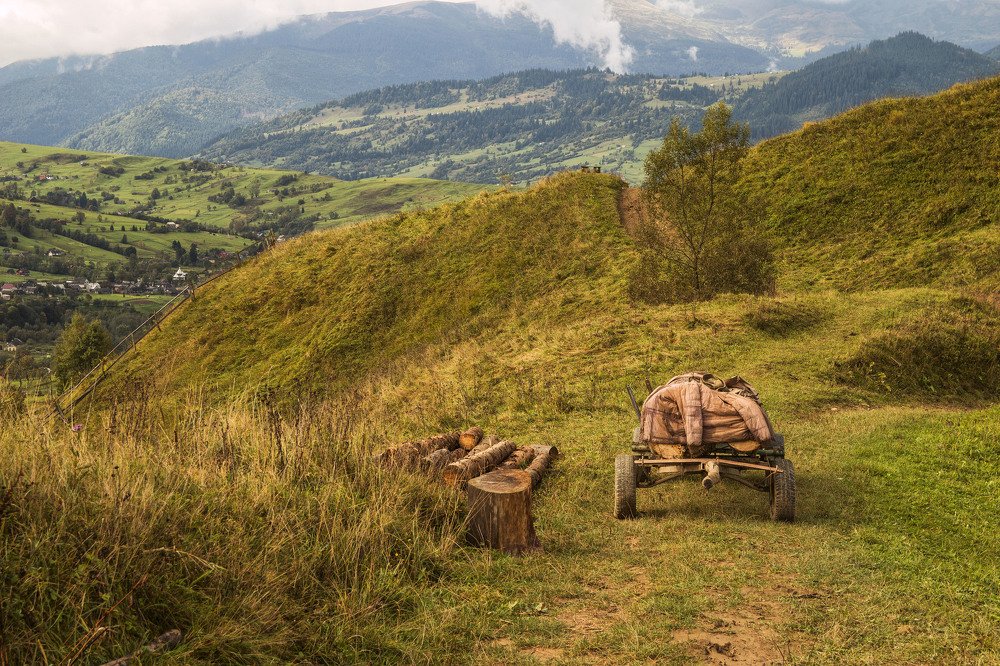 Photograph by Александра Шайдурова