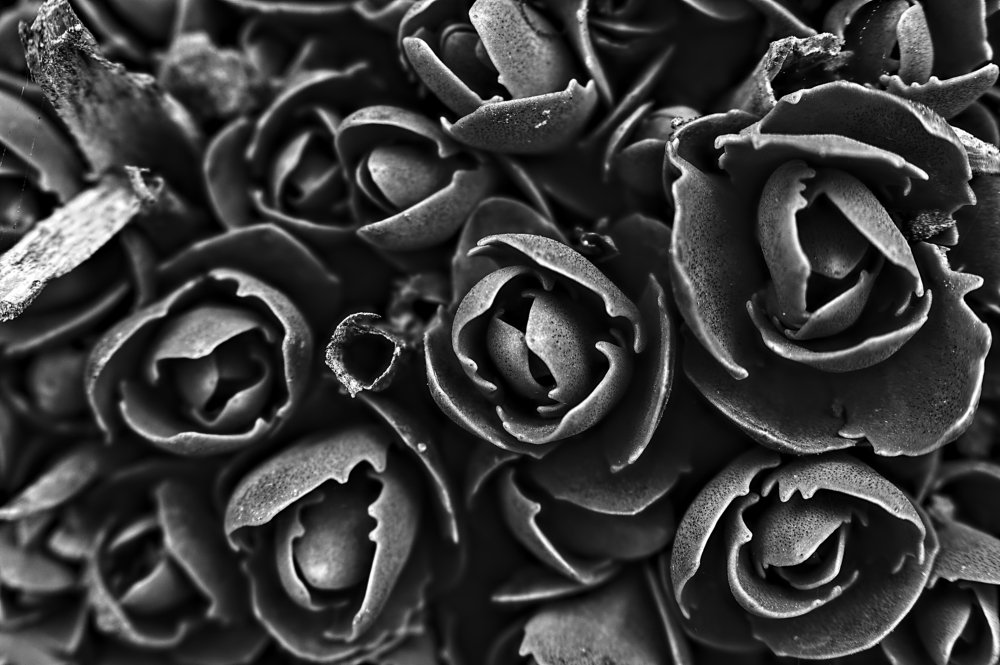 Photograph by Евгений Козлов