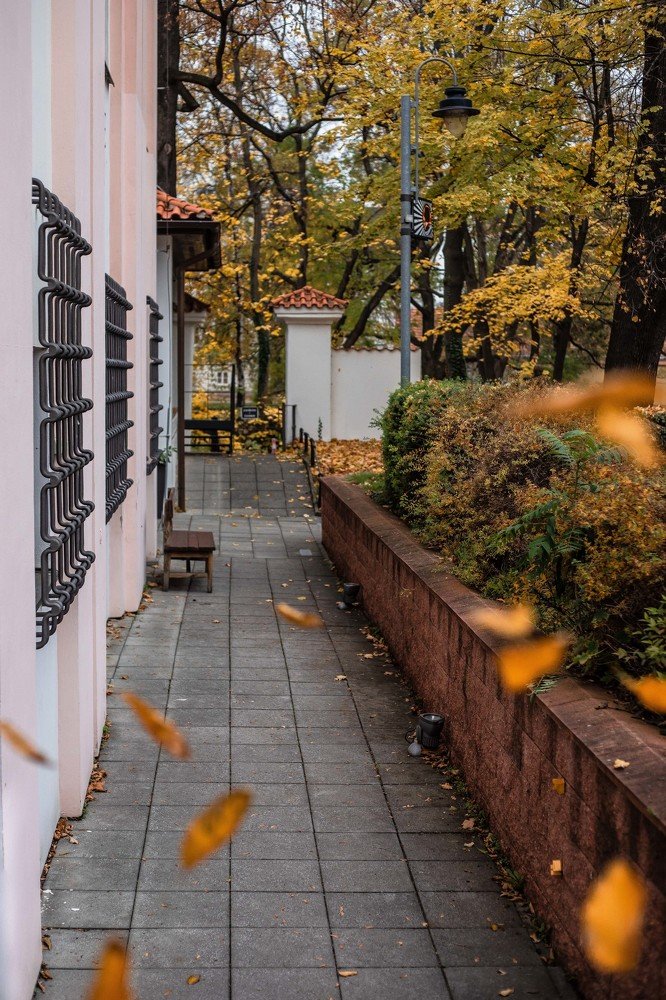 Фотография автора Мария Сурмачева