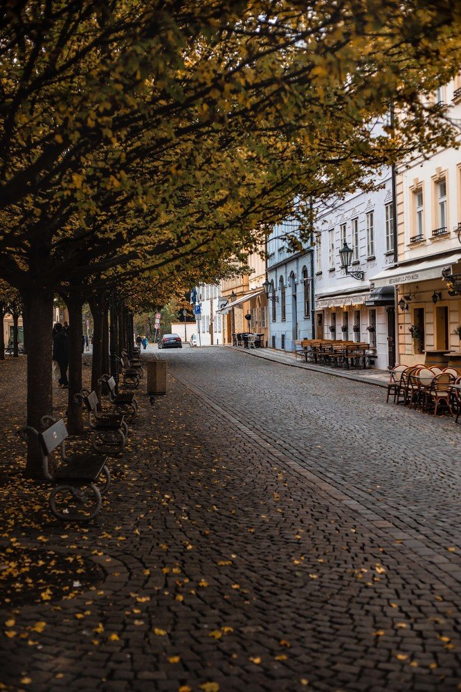 Фотография автора Мария Сурмачева