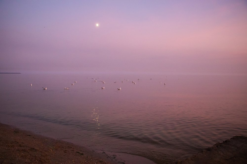 Море в ноябре.