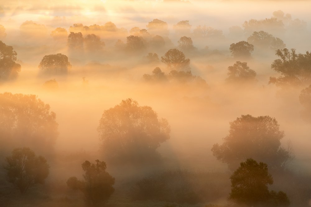 Фотография автора Юрий Сорокин