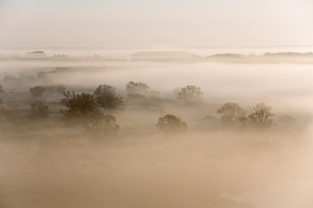 Фотография автора Юрий Сорокин
