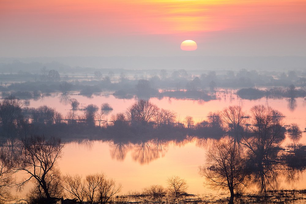 Фотография автора Юрий Сорокин
