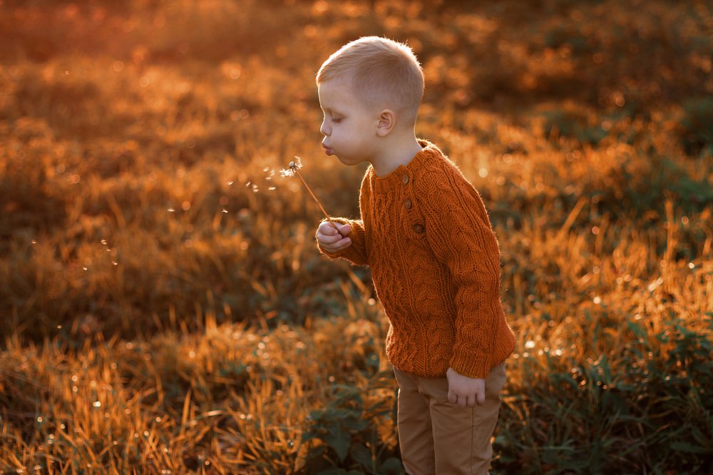 Photograph by Юлия Петренко