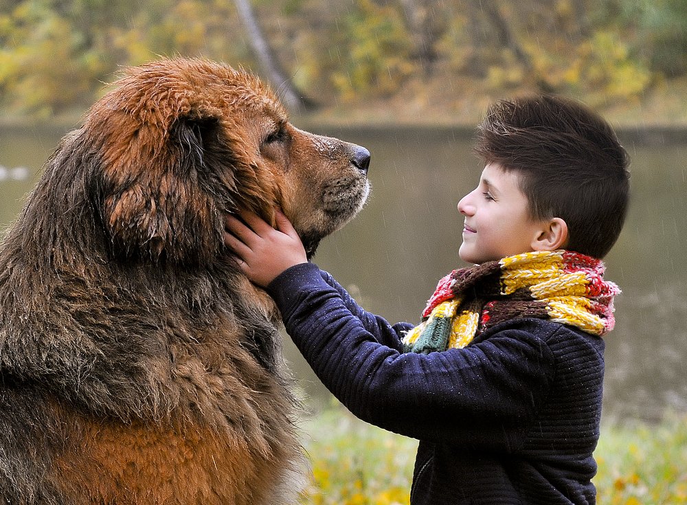 Photograph by Вероника Куликова