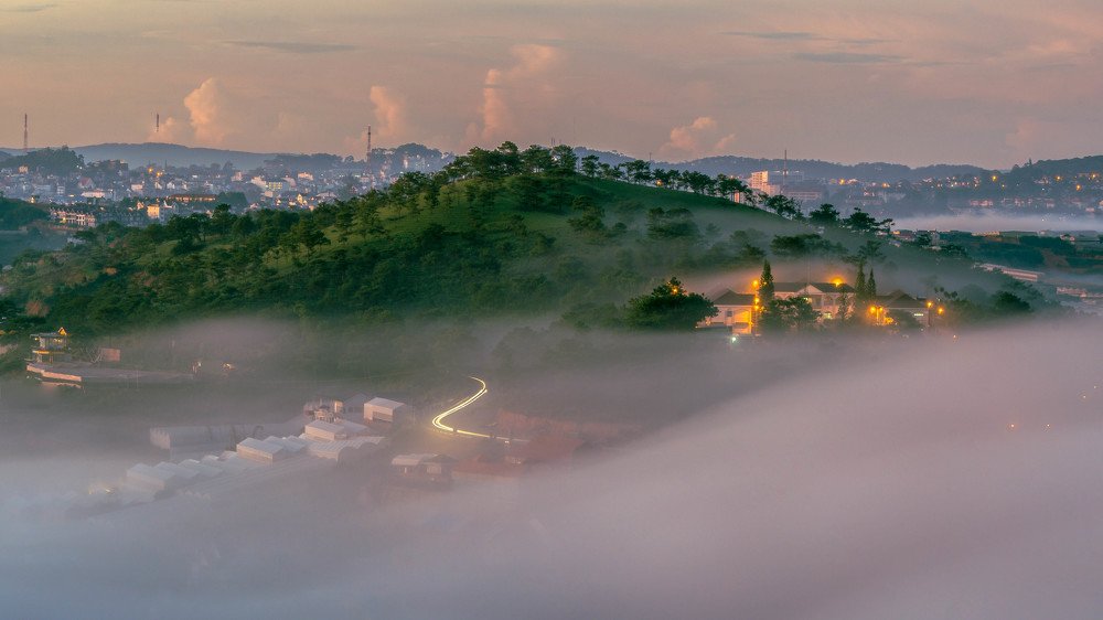 Photograph by Thái Võ