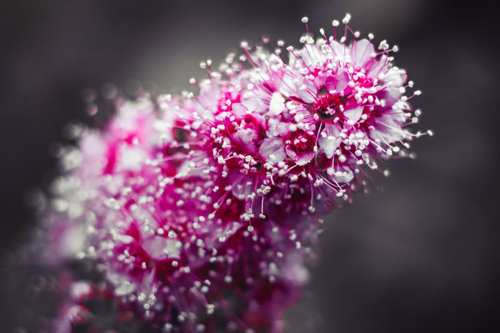 Photograph by Тимофей