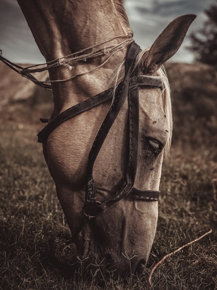 Photograph by Марат Болатханов