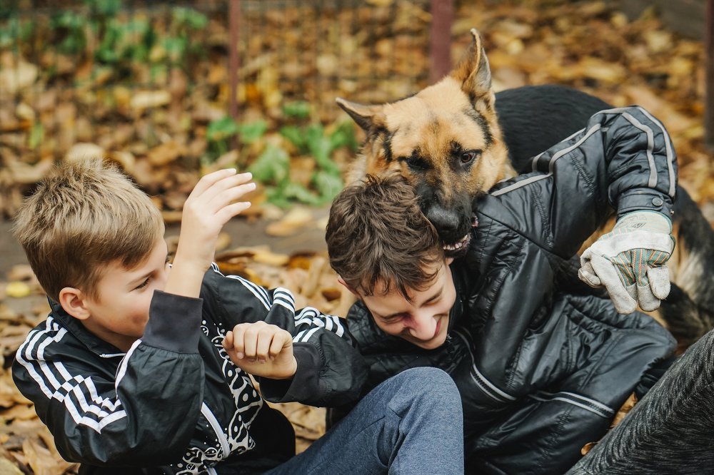 Photograph by  ольга