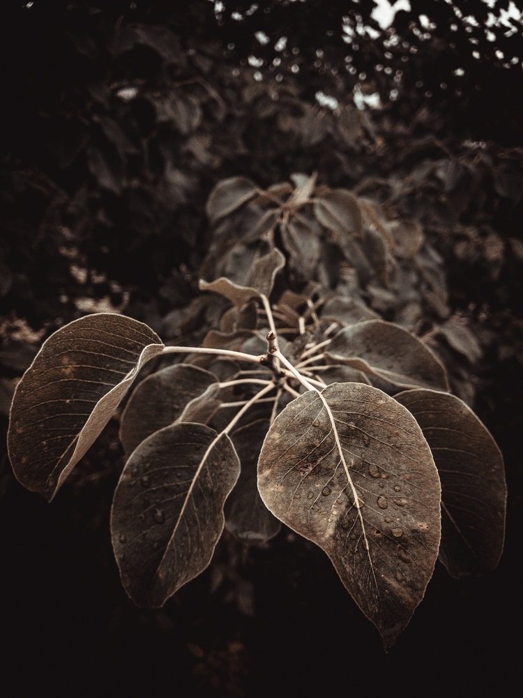 Photograph by Марат Болатханов