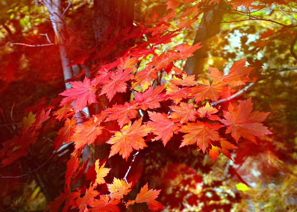 Photograph by Виктор Игнатенко.