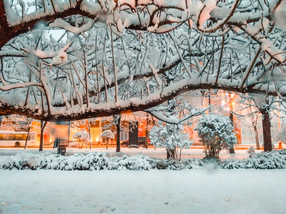 Photograph by Татьяна Телешенко