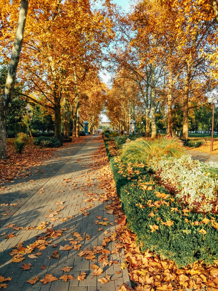 Photograph by Татьяна Телешенко