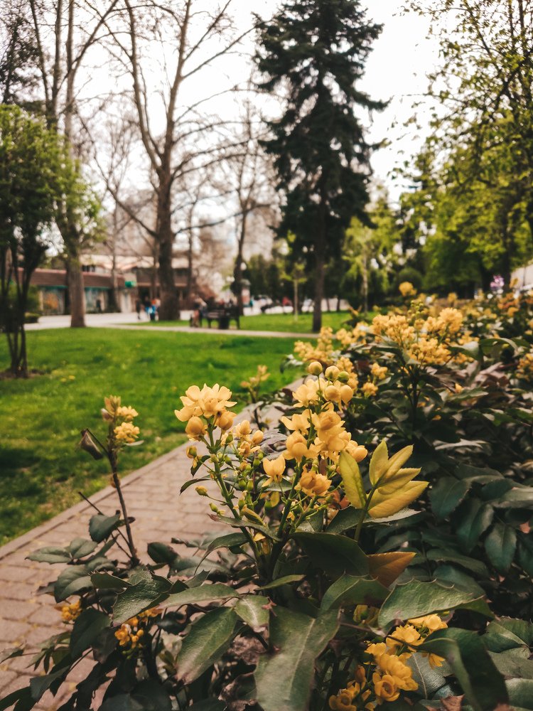 Photograph by Татьяна Телешенко