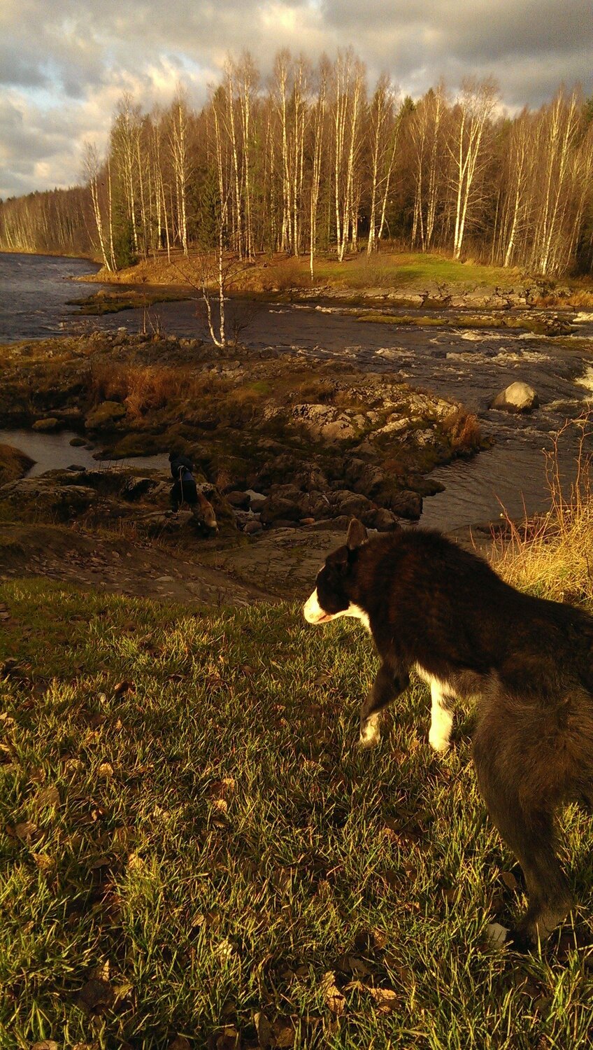 Photo #3865313