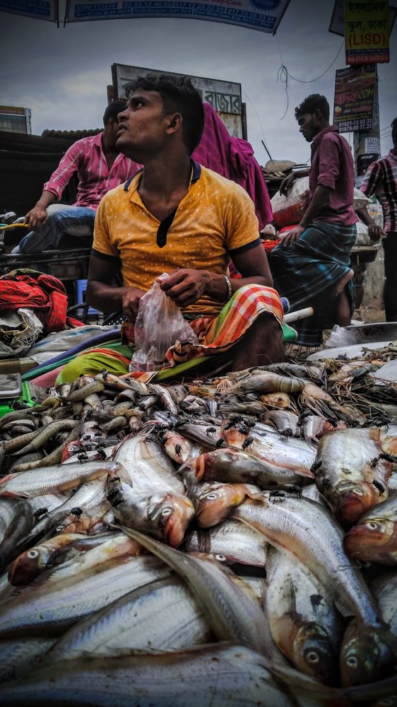 Photograph by Manob mitra