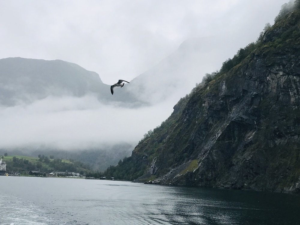 Photograph by Marina Shevchenko