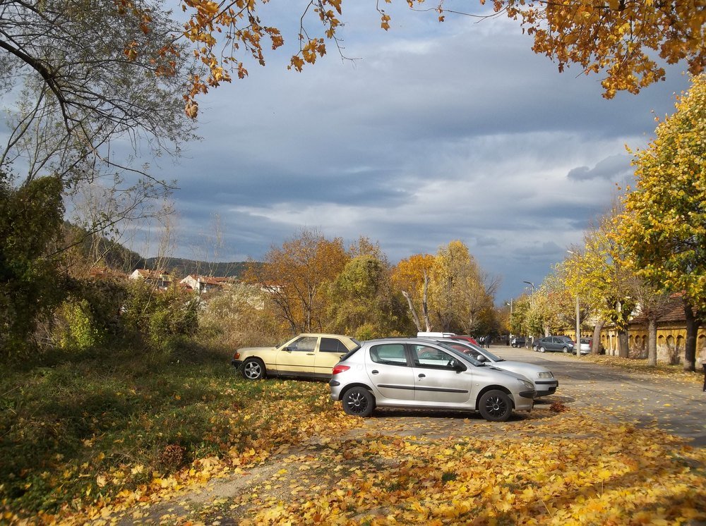 Photograph by Георги Колев