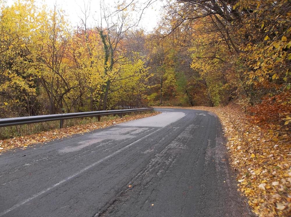 Photograph by Георги Колев