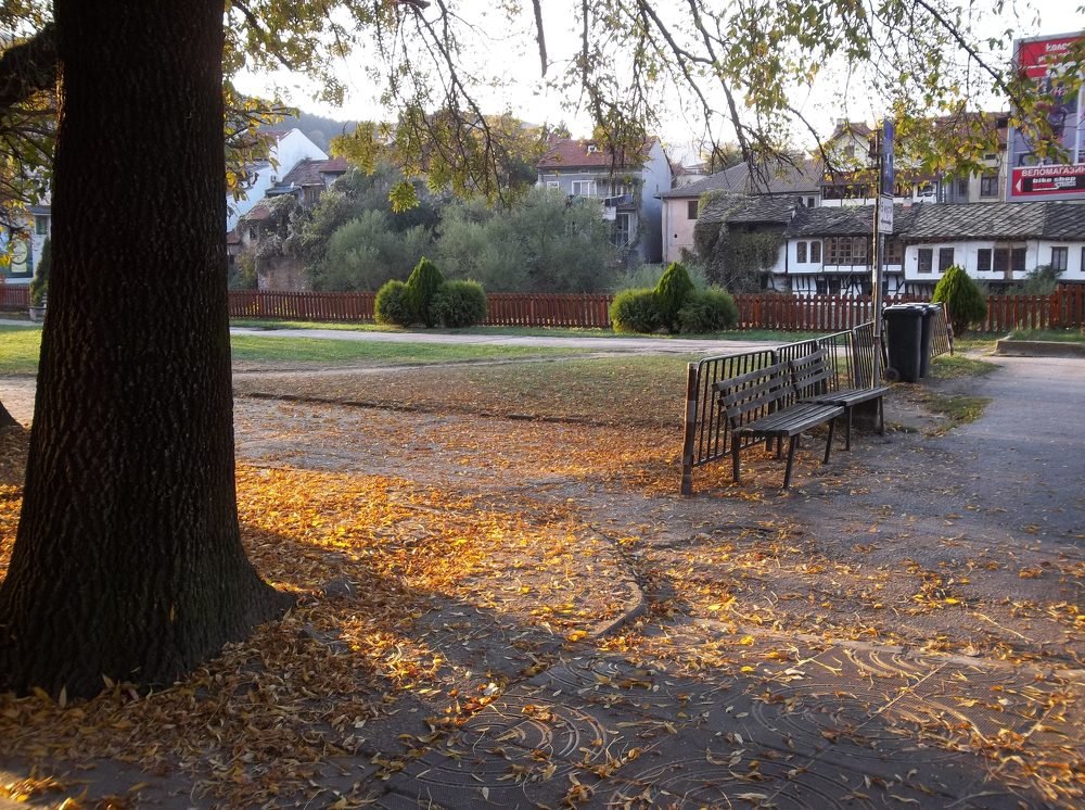 Photograph by Георги Колев