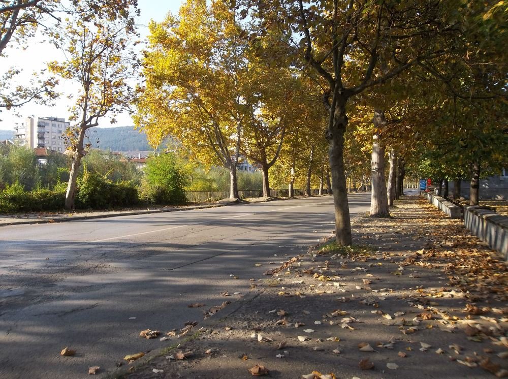 Photograph by Георги Колев