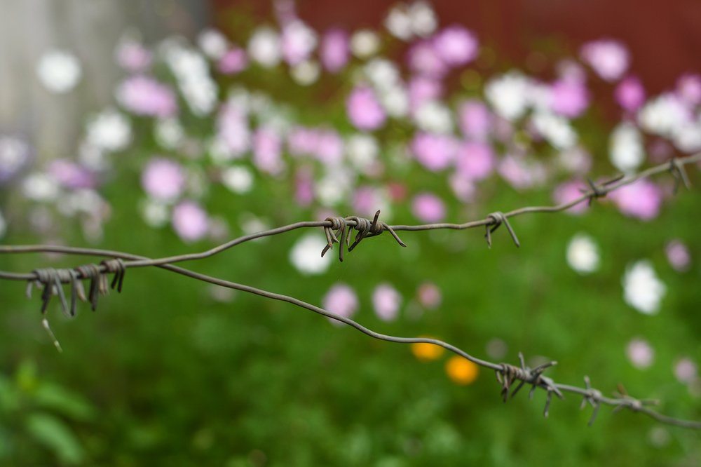 Photograph by Tatyana