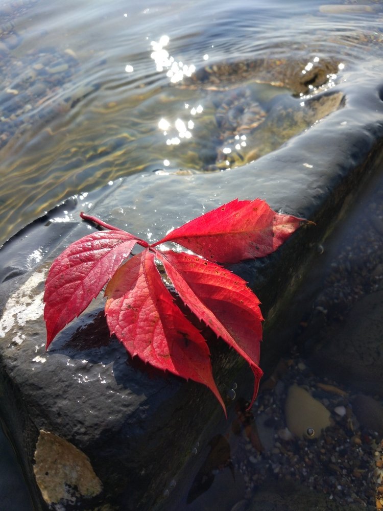 Photograph by Татьяна Телешенко