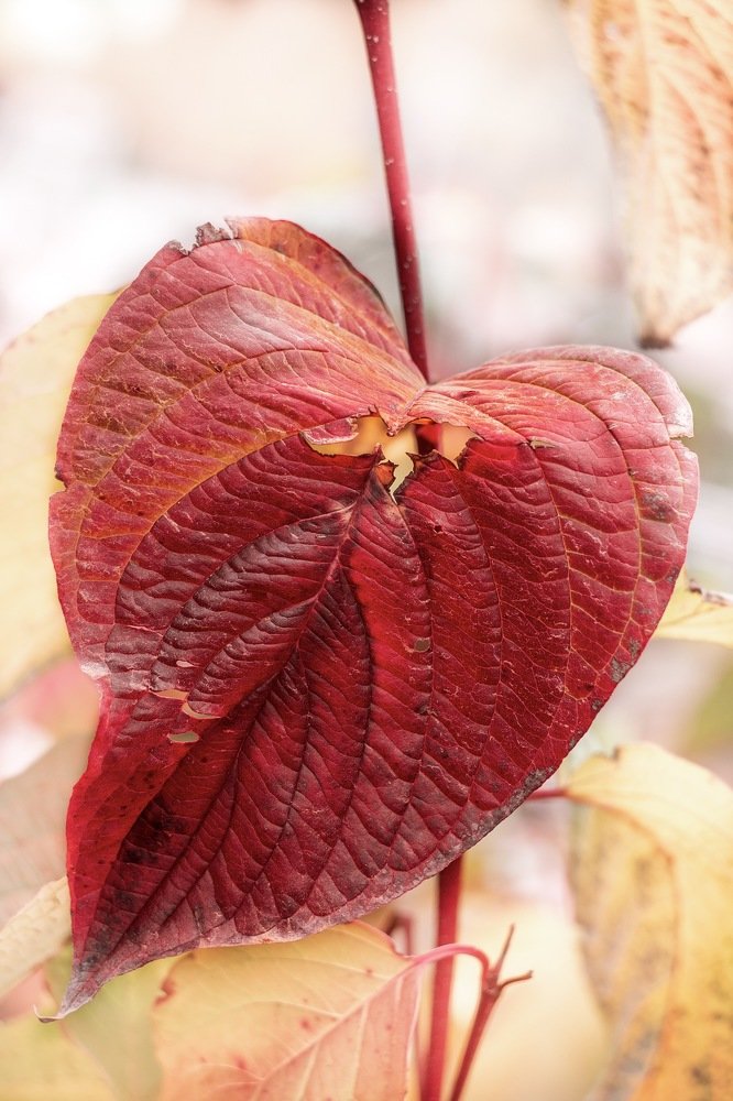 Фотография автора Lujza Stoklas