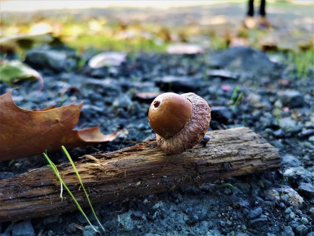 Photograph by Данаил Димов